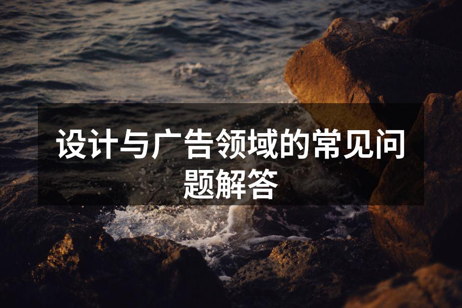 设计风格选择的多样性